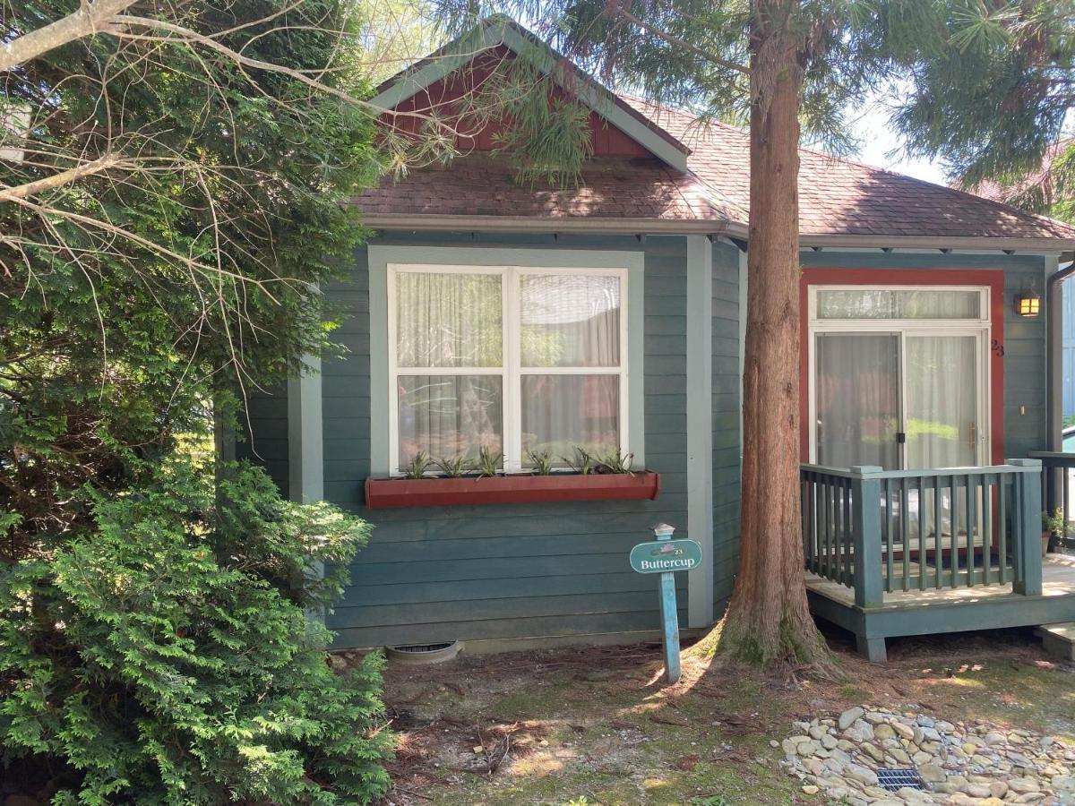 Buttercup Cottage Asheville Ngoại thất bức ảnh